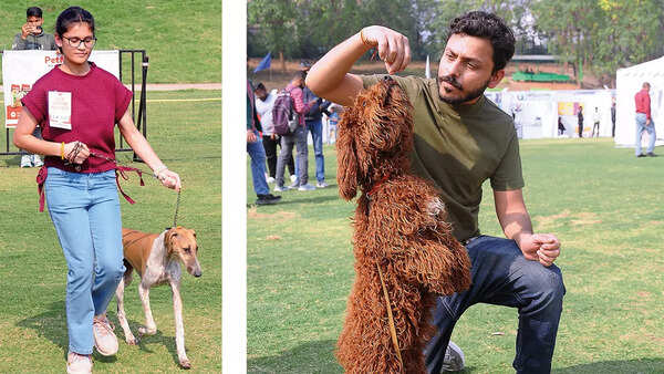 (L) Afeena with Gunja, a Caravan Hound (R) Avadhesh Tandon plays with Brozo, a Toy Poodle