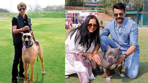 (L) Cyrus McLure with Mafia, a Great Dane who’s been winning quite a few prizes (R) Dr Shikha Singh & Major Rana posed with Leo and an American Bull