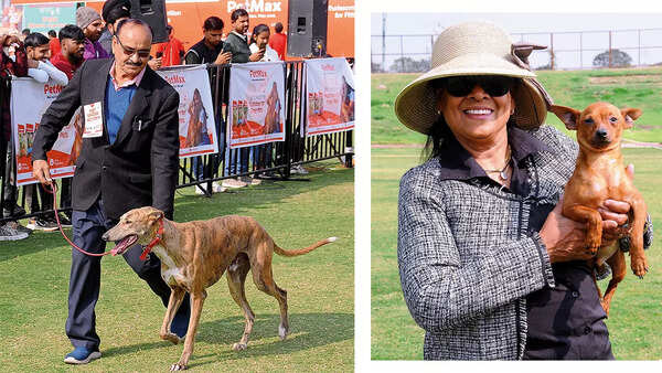 (L) Irshad Khan’s Rampur Hounds, a breed which he has brought back from extinction, left everyone impressed (R) Pamela Cowasji with Ken, a Minpin