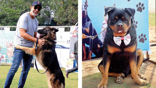 (L) Vaibhav Mishra with one of his several German Shepherds (R) Shishir Srivastva's Rottweiler
