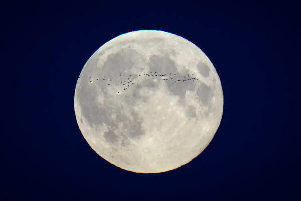 moon