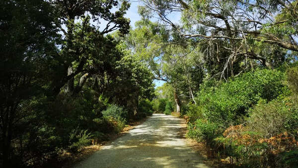 Tasmania