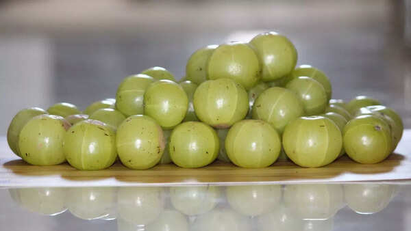 Amla or Indian Gooseberry