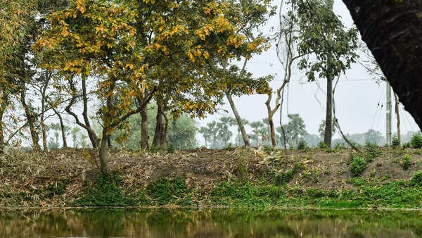 Buxa Tiger Reserve, West Bengal