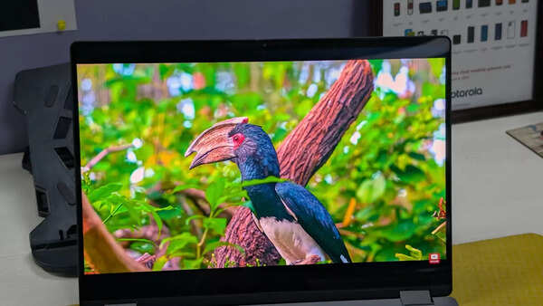 Asus Vivobook Flip 14 (2025) laptop has a vibrant OLED display