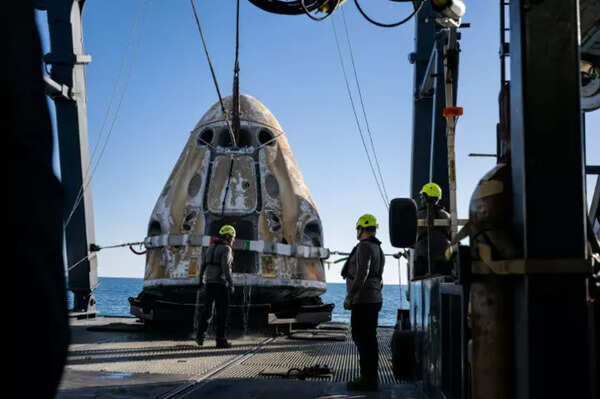 As the world celebrated their return, Williams and Wilmore got an unexpected welcome back to Earth. Videos posted on social media showed a pod of dolphins swimming around the capsule, which was later retrieved by the recovery vessel. Watch: Dolphins welcome Sunita Williams and Butch Wilmore as they return to Earth