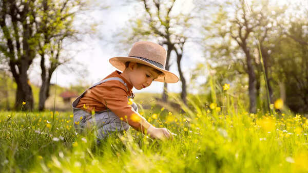 spring