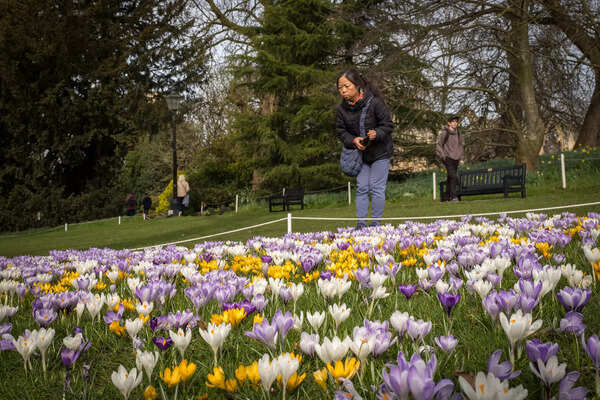 Spring Weather In The UK