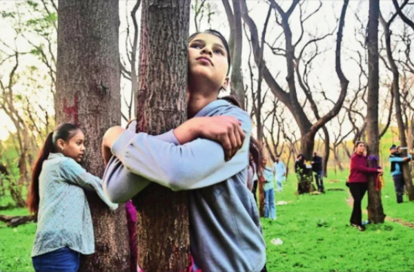 Chandigarh residents, young and old, carried out a Chipko-style protest near the Rock Garden on March 5 and 6 to protest axing of trees for extending the parking lot of the Punjab and Haryana high court