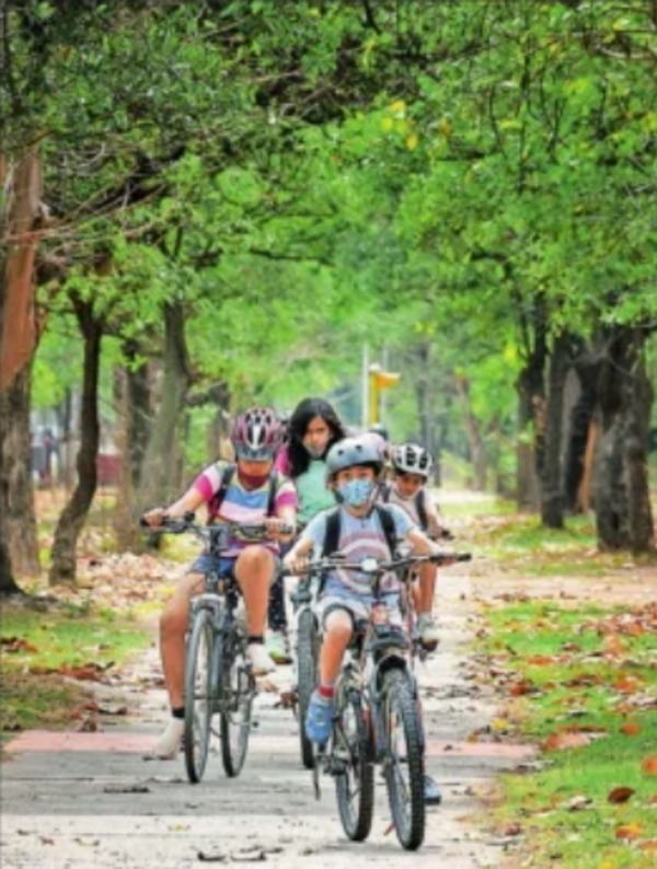 Local residents demand better environmental management to preserve the city's green heritage and control rising pollution affecting their health and quality of life