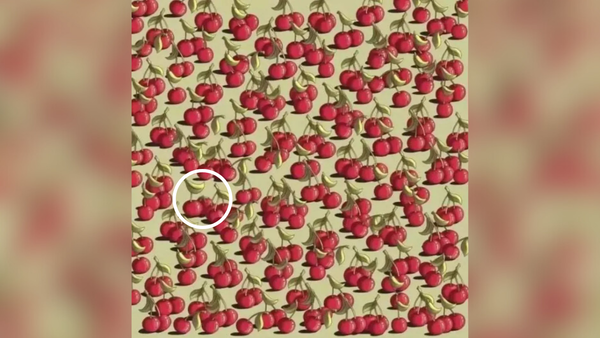 Image Credit: knewz optical illusions (30)