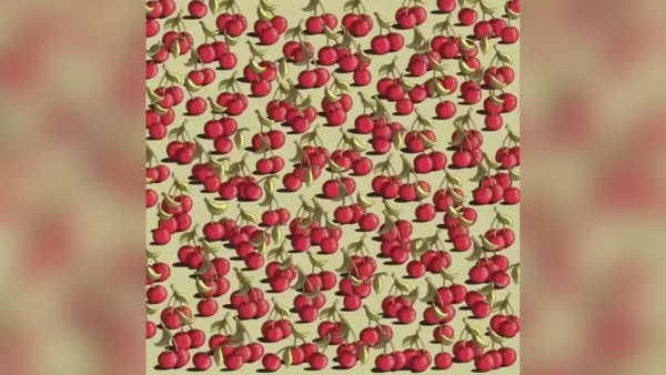 Image Credit: knewz optical illusions (29)