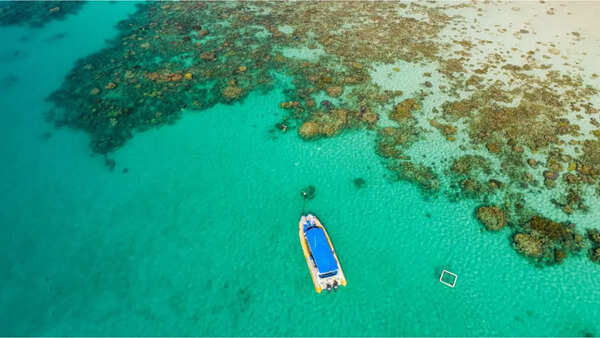 Great barrier reef