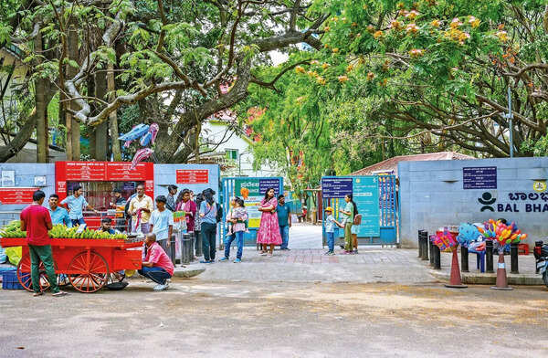 Bandh day (4)