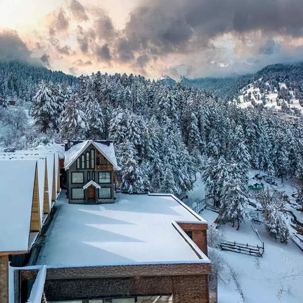 1000x1000_Frozen-Fall