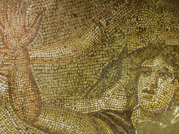 herculeus
