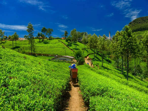 ASSAM
