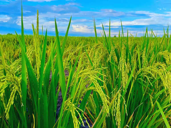Ugadi Wishes,Messages