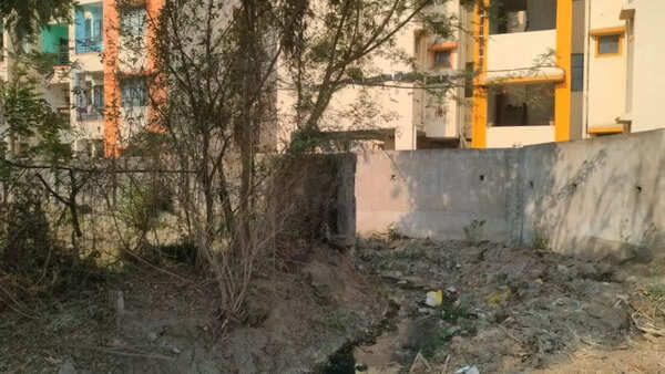 Jaundice outbreak alarm in Raipur