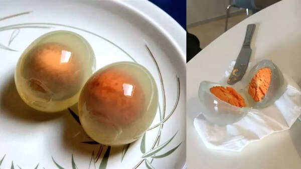 Penguin eggs become transparent when boiled