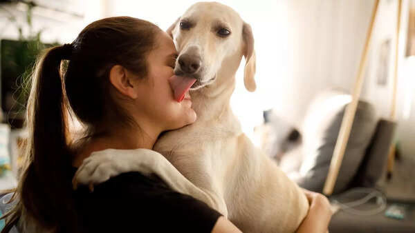 Think twice before letting your dog lick your face: Doctor warns of flesh-eating bacteria
