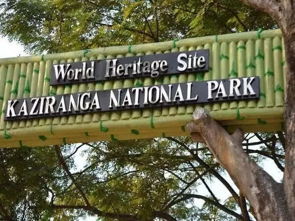 Assam's Kaziranga National Park witnesses record number of tourist footfall in FY2024-25 Assam's Kaziranga National Park witnesses record number of tourist footfall in FY2024-25