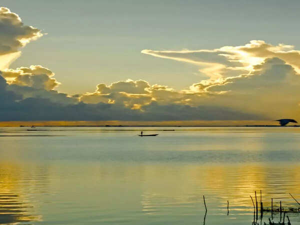 Odisha
