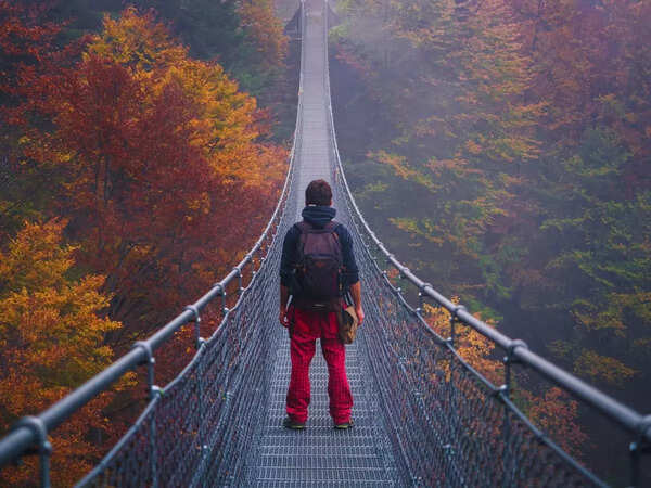 Glass Skywalk Bridge