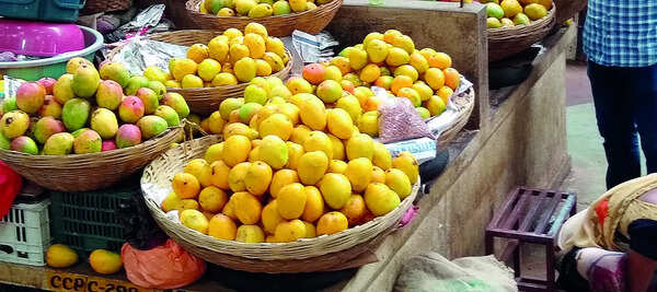 Konkan fruit festival