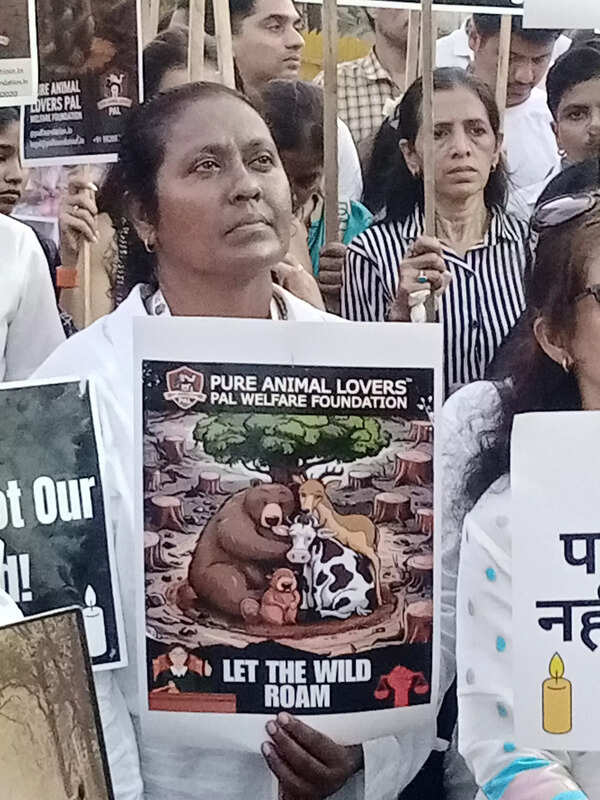 Candlelight march against destruction of forests Candlelight march against destruction of forests