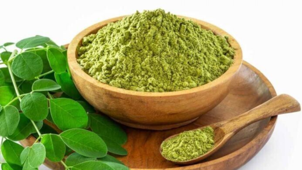 What is moringa?