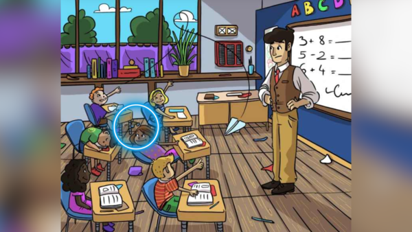 Source: Bright Side illusions (23)