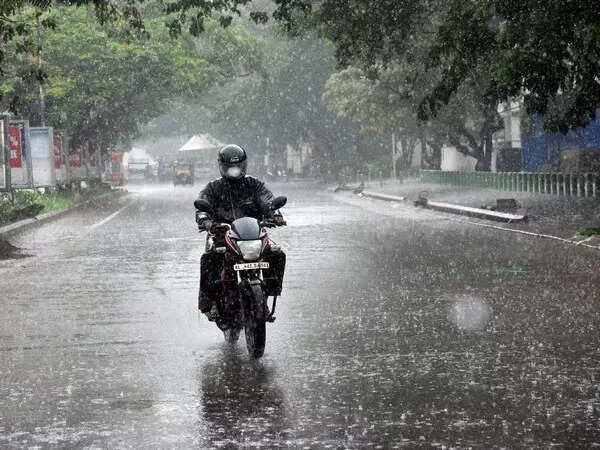 India to receive above normal rainfall during 2025 monsoon: IMD