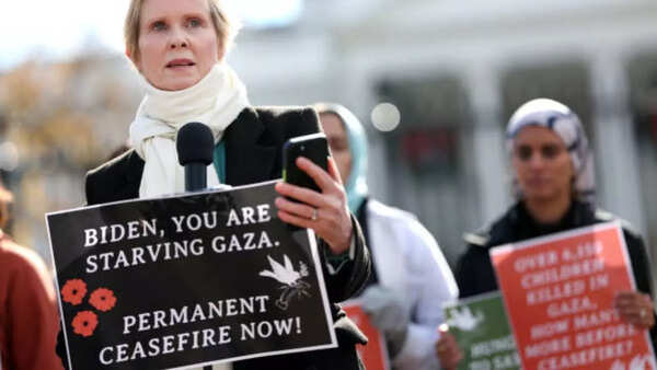 Image credits: Getty Images Cynthia Nixon's political statements