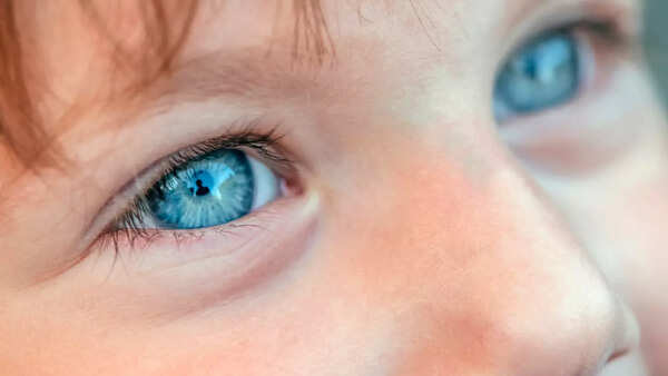 eyes