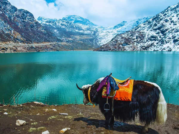 Gangtok, Sikkim