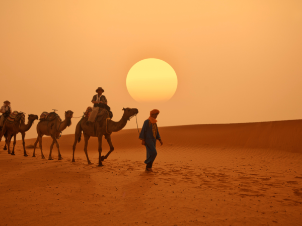 Camel ride