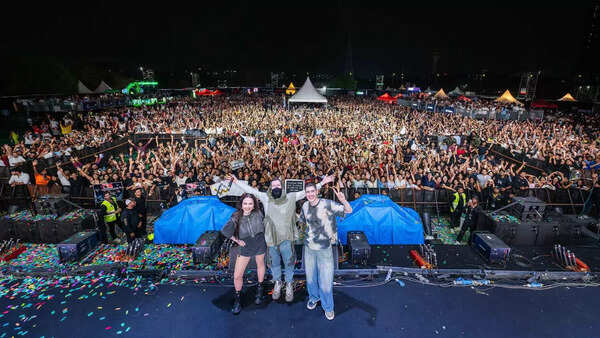 pg1&3_AlanWalker3