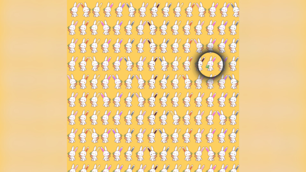 optical illusions (46)