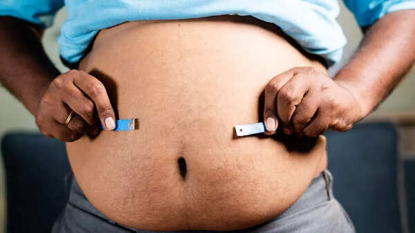 belly fat 2