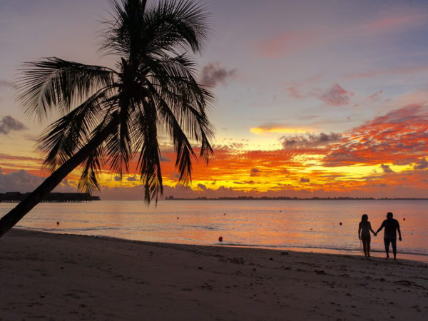 Sun-Kissed Beaches