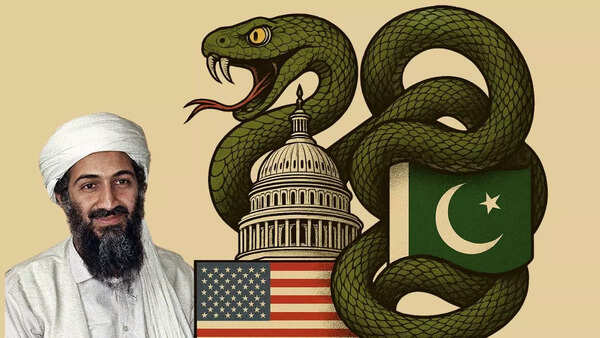 Pakistan accepts its terrorist
