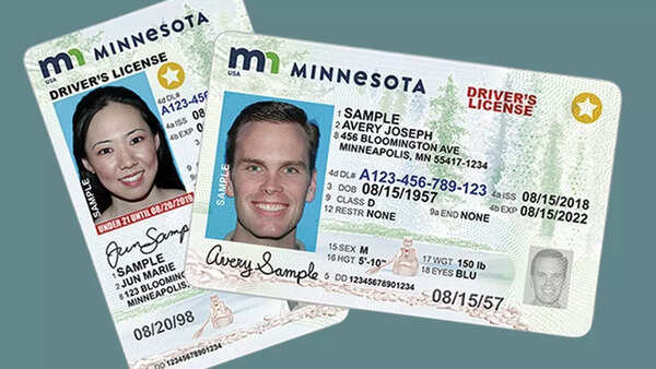 From ID Cards to UN Passes: Legal Documents That Replace Passports