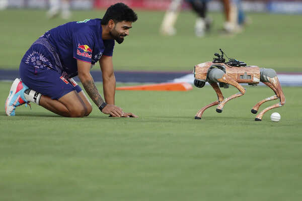 IPL's robot dog has been named as Champak by the fans. (PTI) BCCI taken to court over IPL robot dog