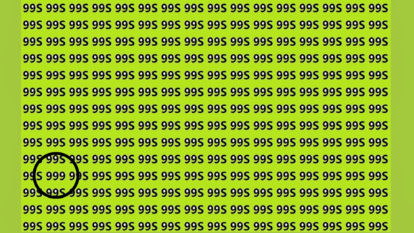 Illusion (64)
