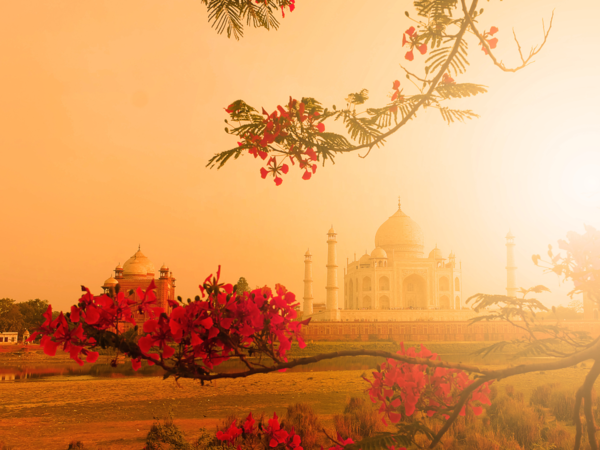 Beautiful Taj