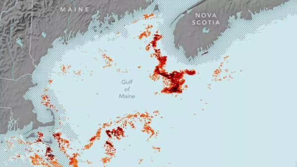 Source: NASA NASA tracks plankton populations from space to support right whale protection
