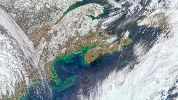 Source: NASA NASA tracks plankton populations from space to support right whale protection