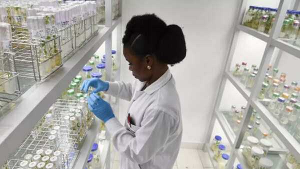 Image credits: Getty Images New cures coming up