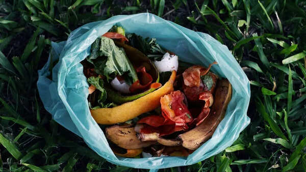 fruit and veggie peel 3
